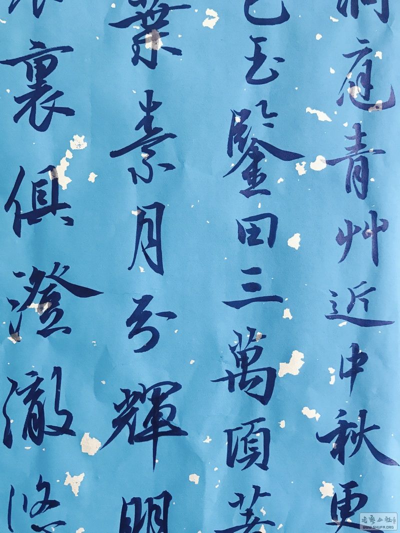 王拼搏 书法《念奴娇过洞庭》