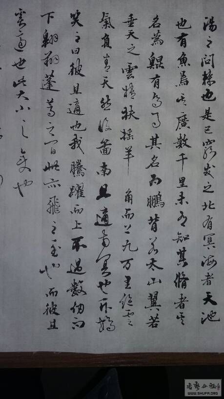 抄写逍遥游