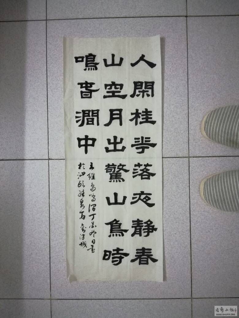 隶书王维鸟鸣涧诗,请各位老师批评指正.
