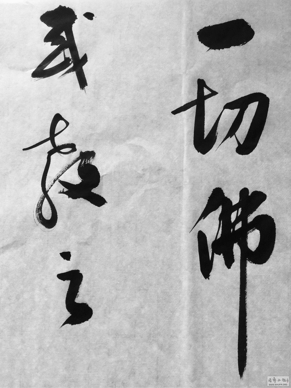 交流 69 书法区 69 【新作上线】 69 善恶因果    马上注