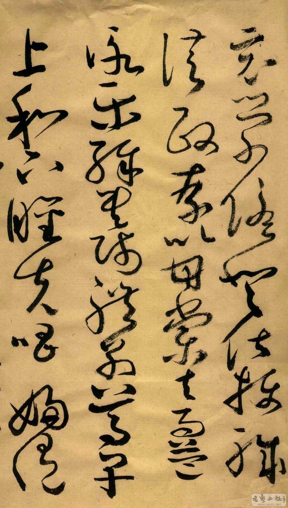 临怀素大草千字文,请批(08.5)