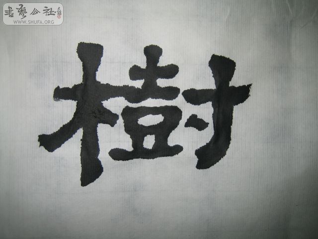 10041614572881d98f46ed9909.jpg