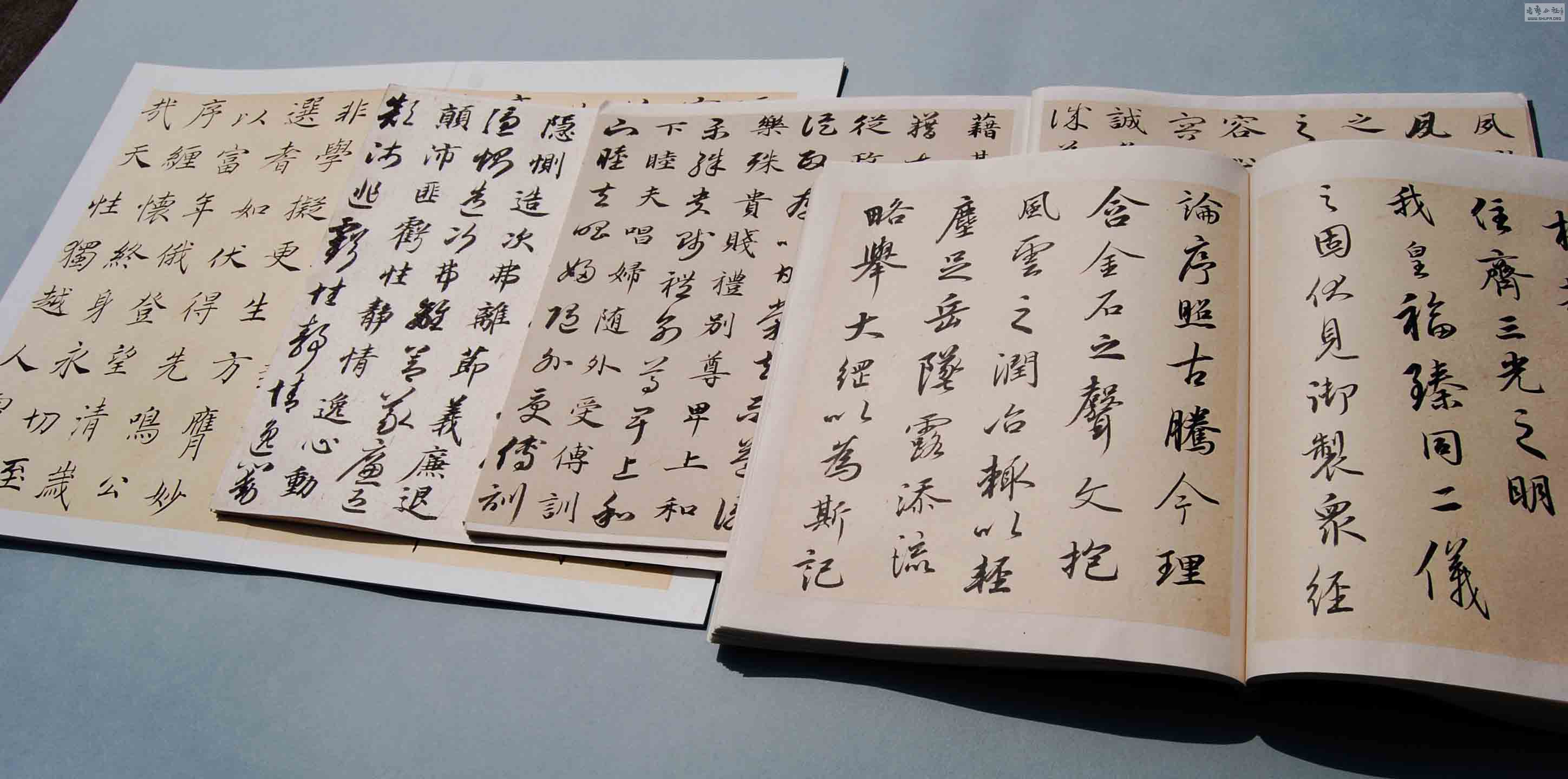 论坛 69 书法区 69【碑帖新临新知 69 翁志飞老师临帖作品选