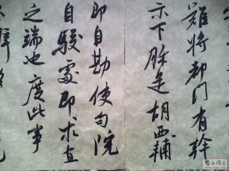 0110-1257-05.JPG