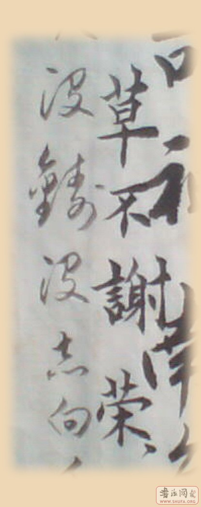 06.jpg