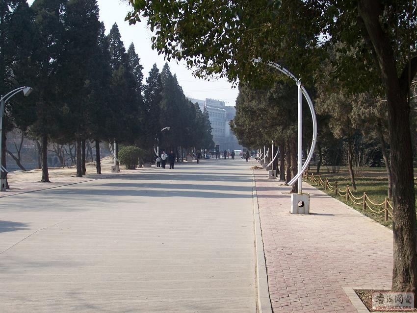 100_0338.jpg