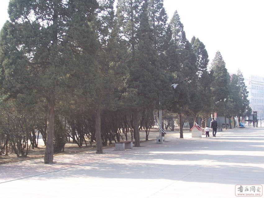 100_0339.jpg