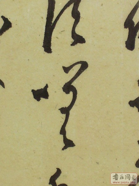 100_2102.jpg
