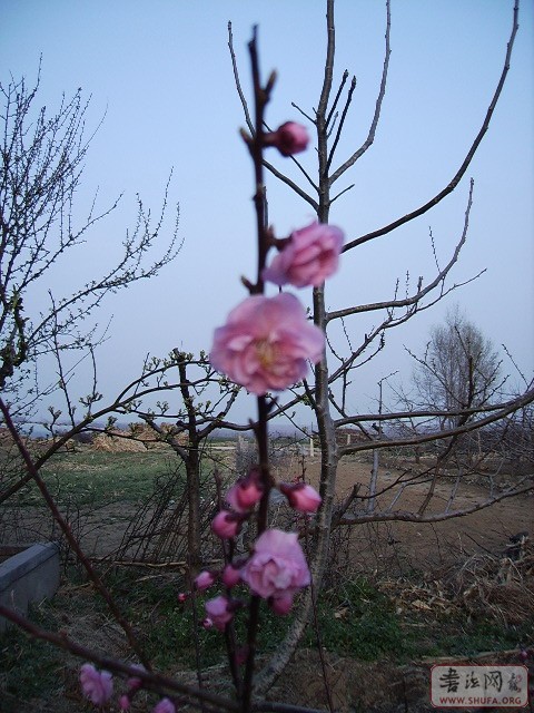 Զ黭Ʒ 001.jpg