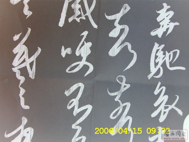 Ƭ 505.jpg