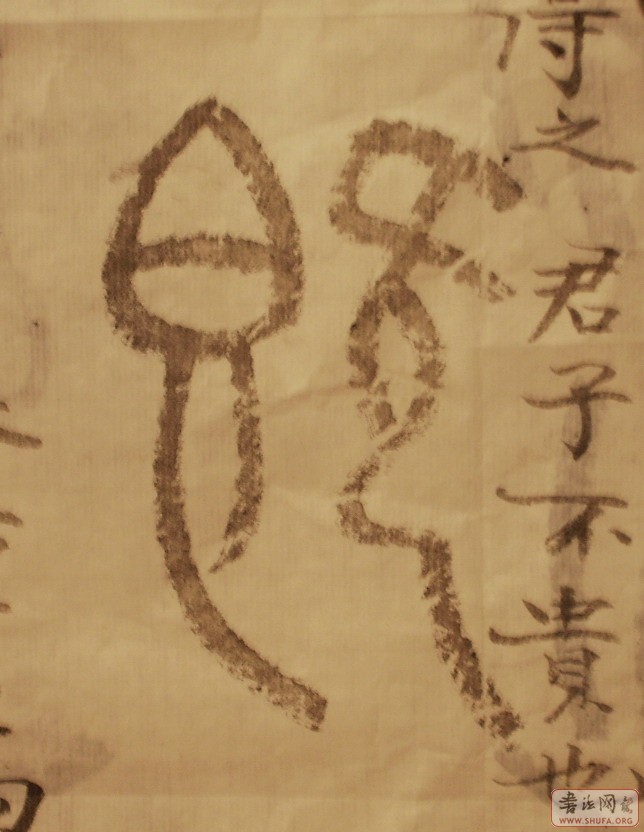 Ƭ 005.JPG