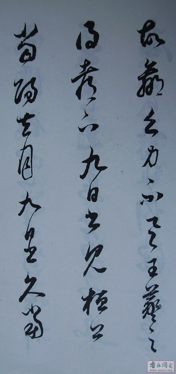 Ƭ 10040.JPG