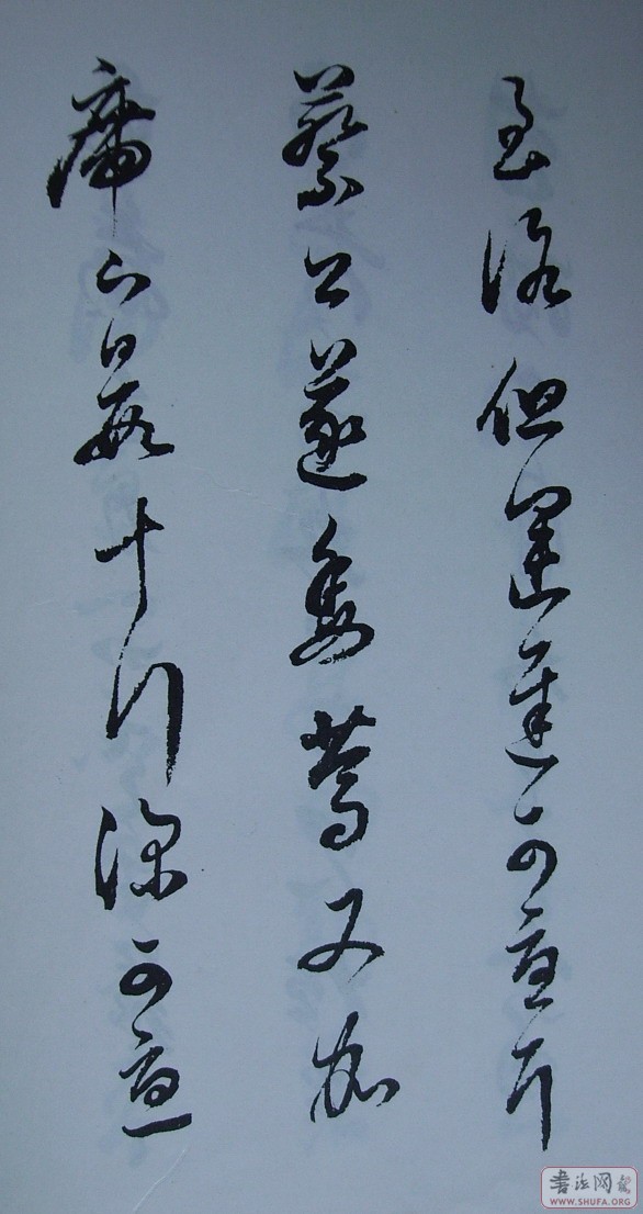 Ƭ 10041.JPG