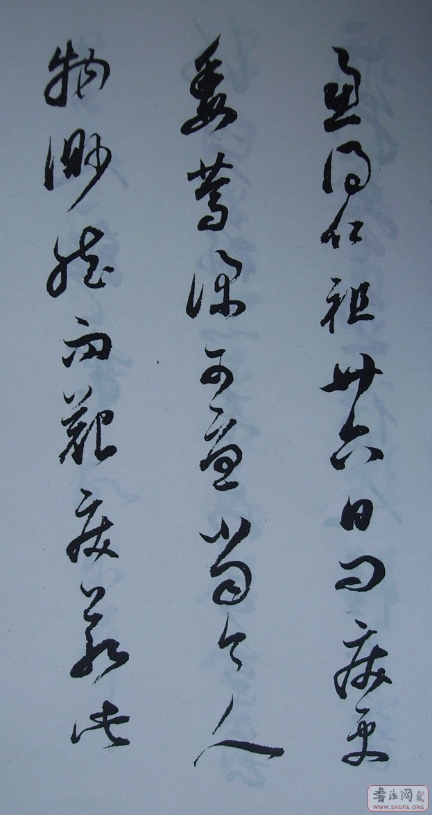 Ƭ 10042.JPG