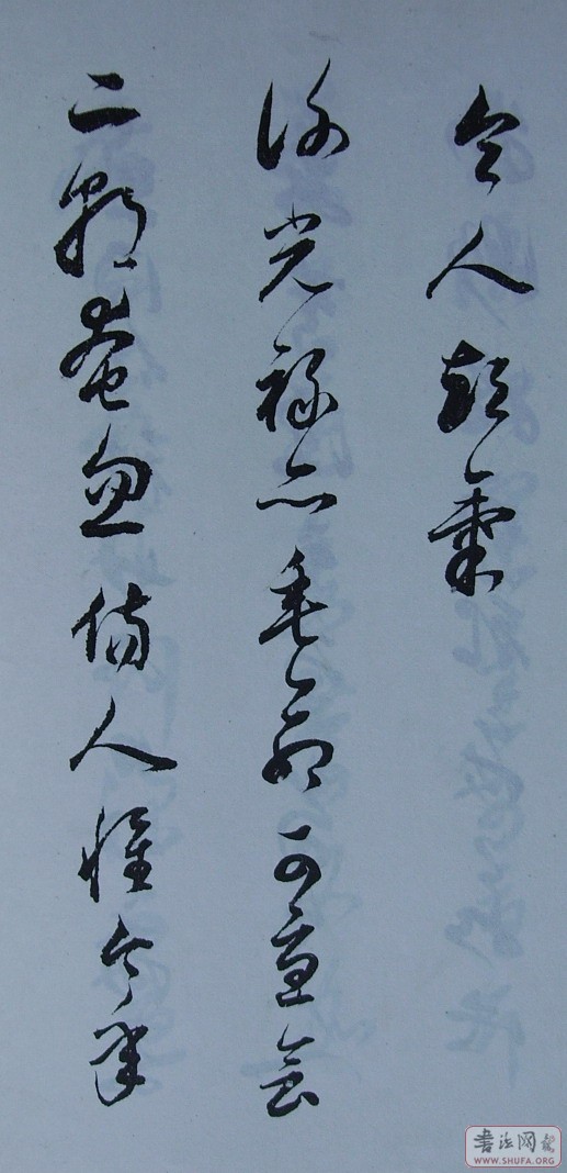 Ƭ 10043.JPG