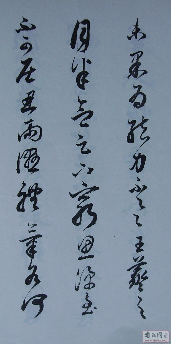 Ƭ 10045.JPG