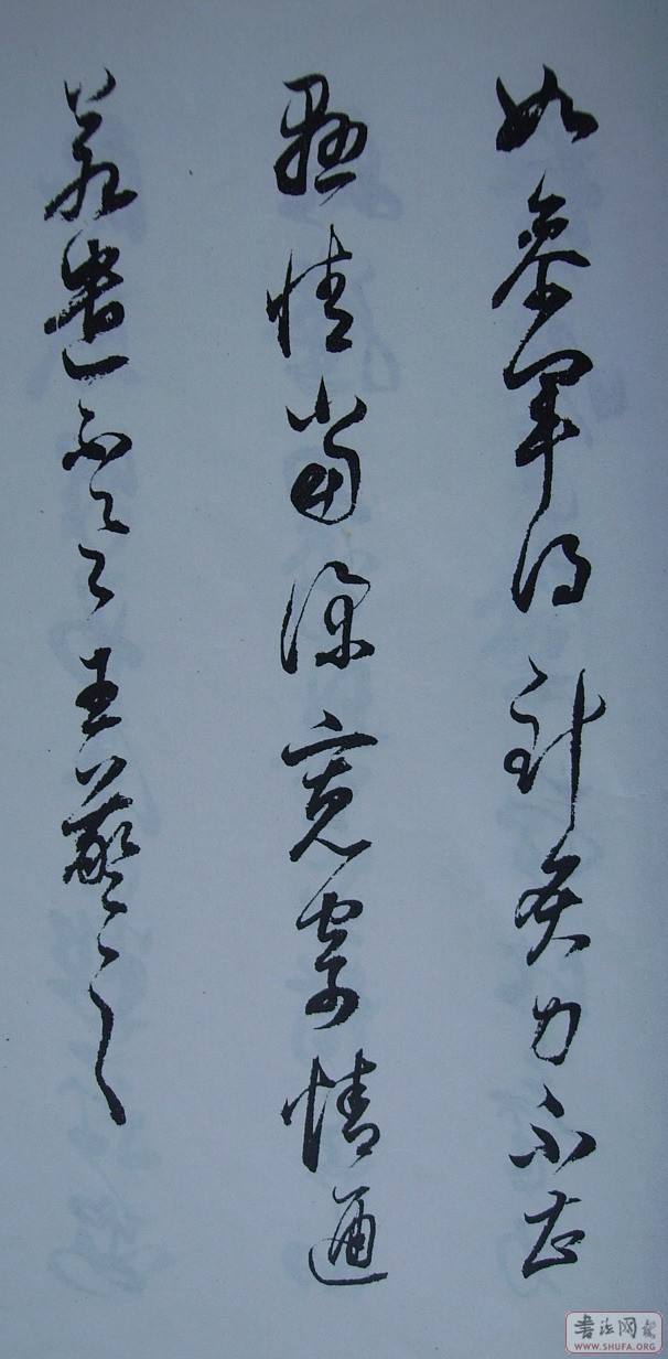 Ƭ 10046.JPG