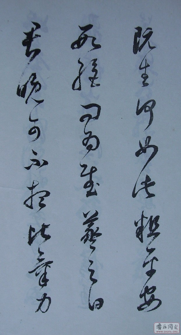 Ƭ 10047.JPG