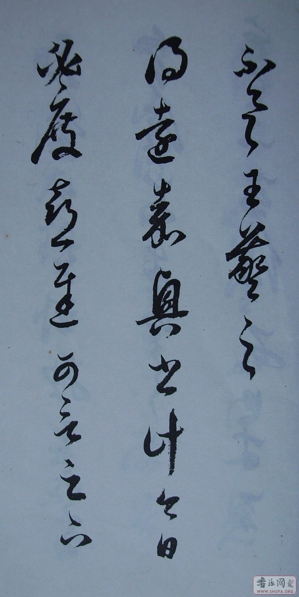 Ƭ 10048.JPG
