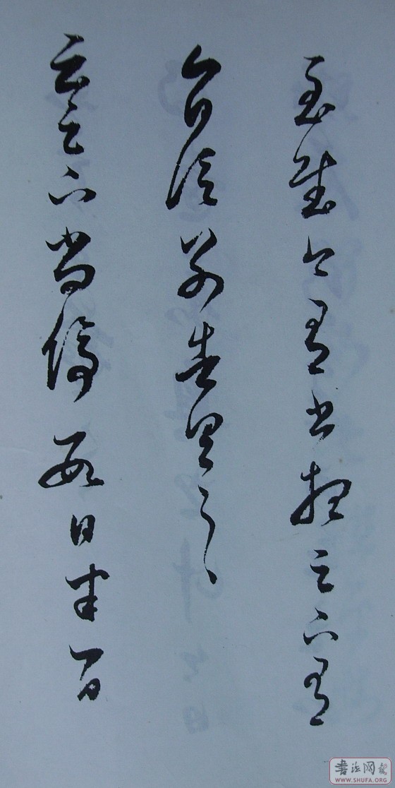 Ƭ 10049.JPG