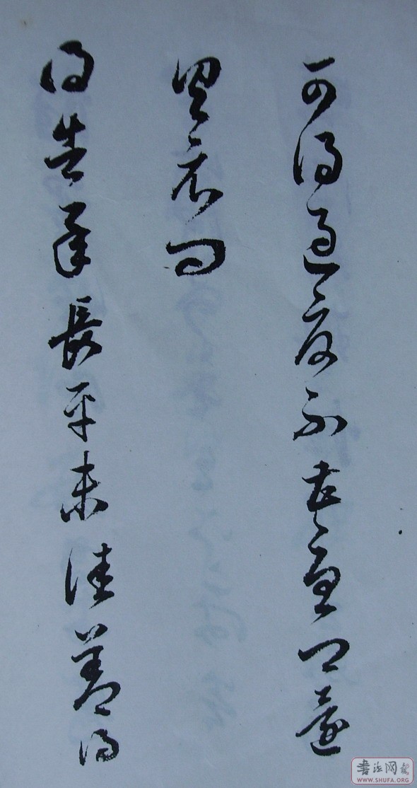 Ƭ 10051.JPG