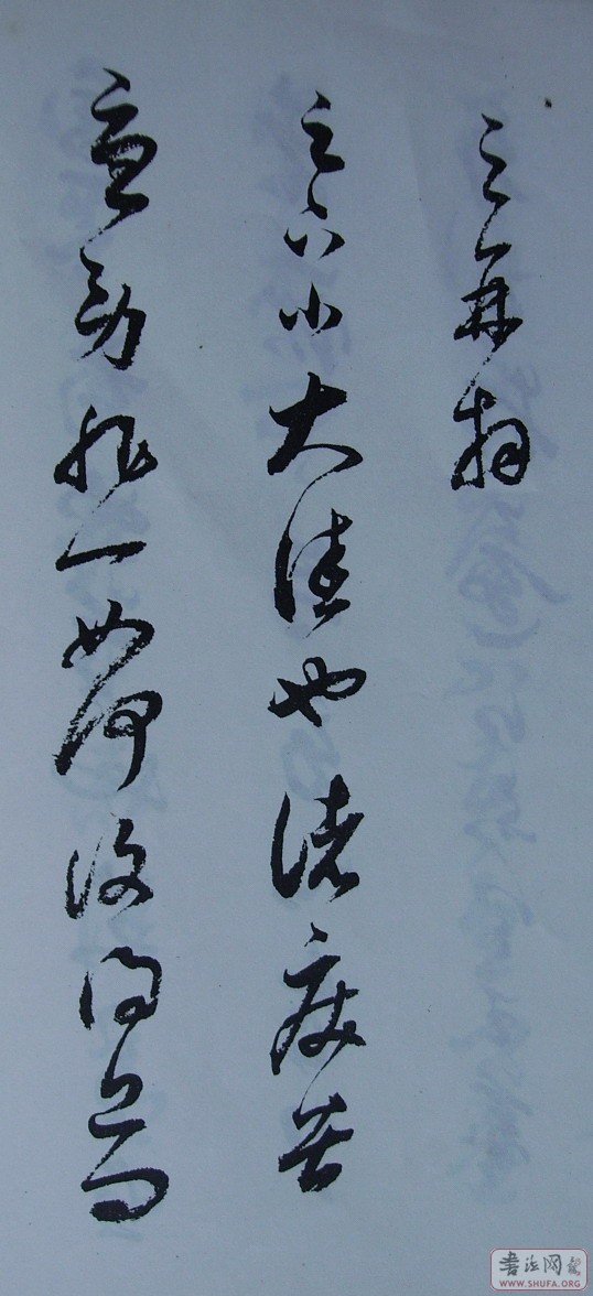 Ƭ 10053.JPG