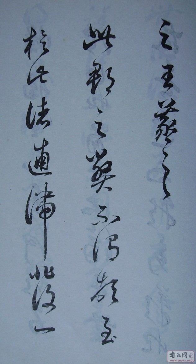 Ƭ 10055.JPG