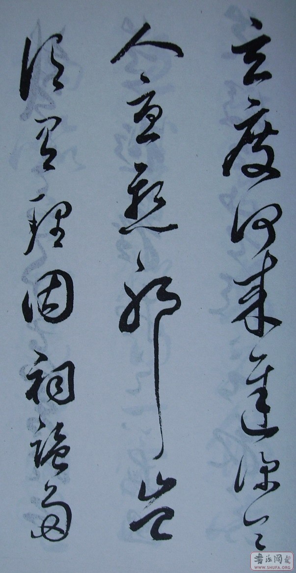 Ƭ 10056.JPG
