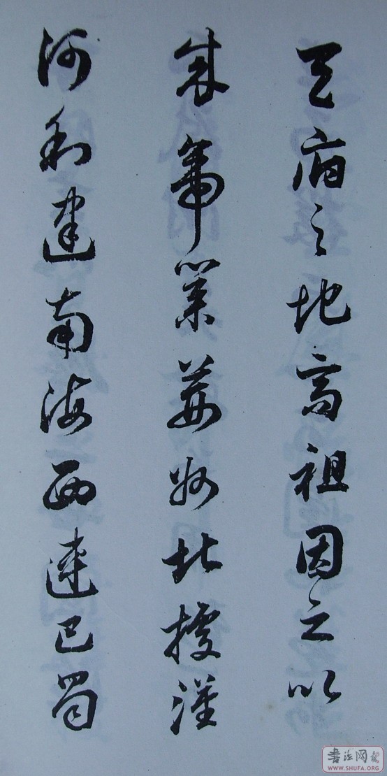 Ƭ 10058.JPG