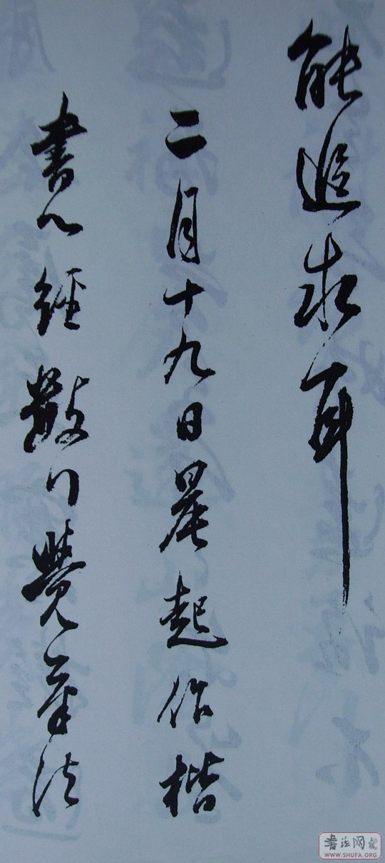 Ƭ 10060.JPG