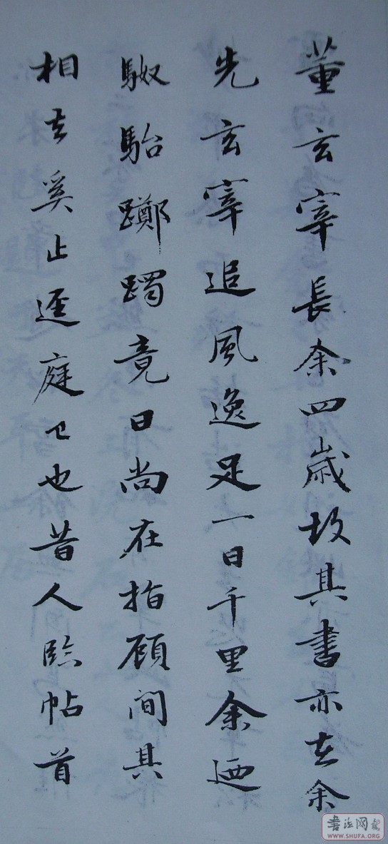 Ƭ 10063.JPG