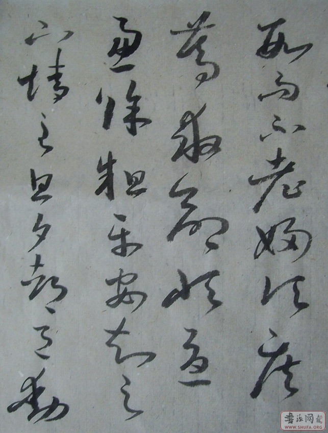 Ƭ 10067.JPG