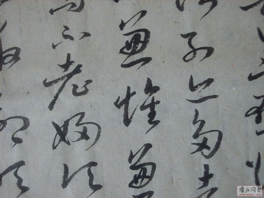 Ƭ 10068.jpg