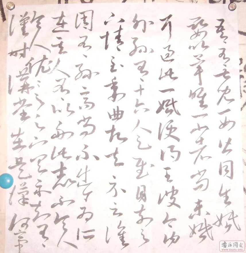 Ƭ 10020.JPG
