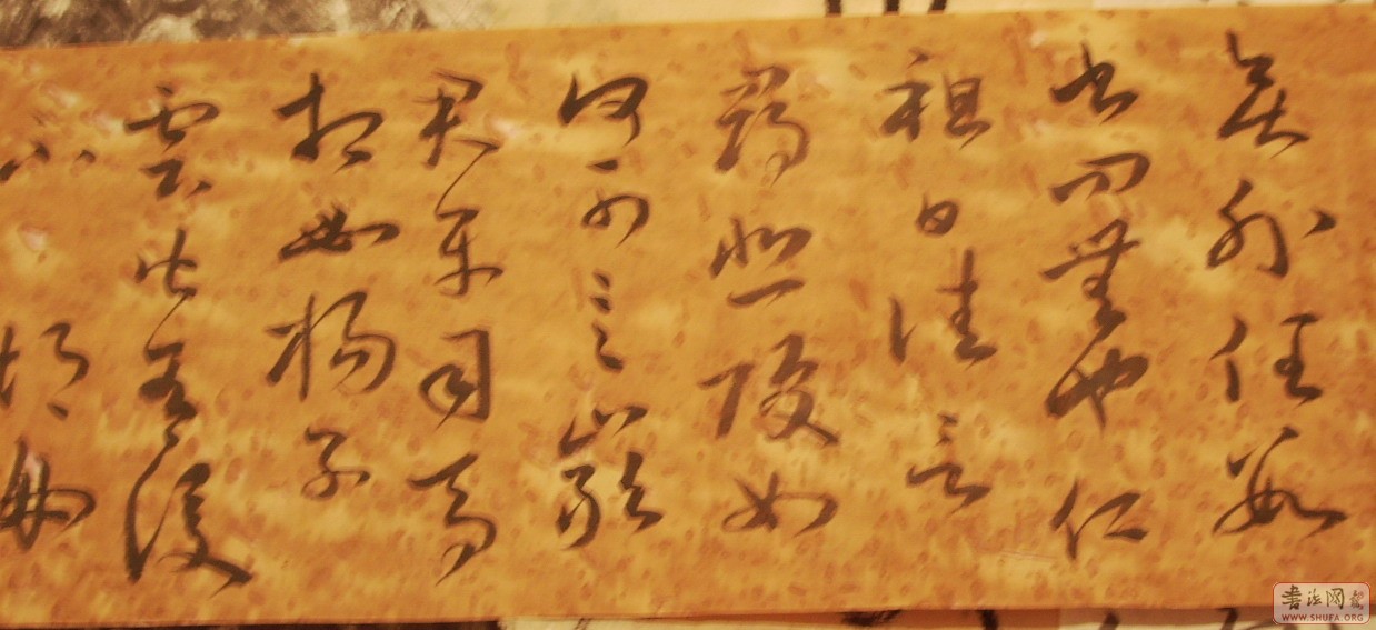Ƭ 10028.JPG