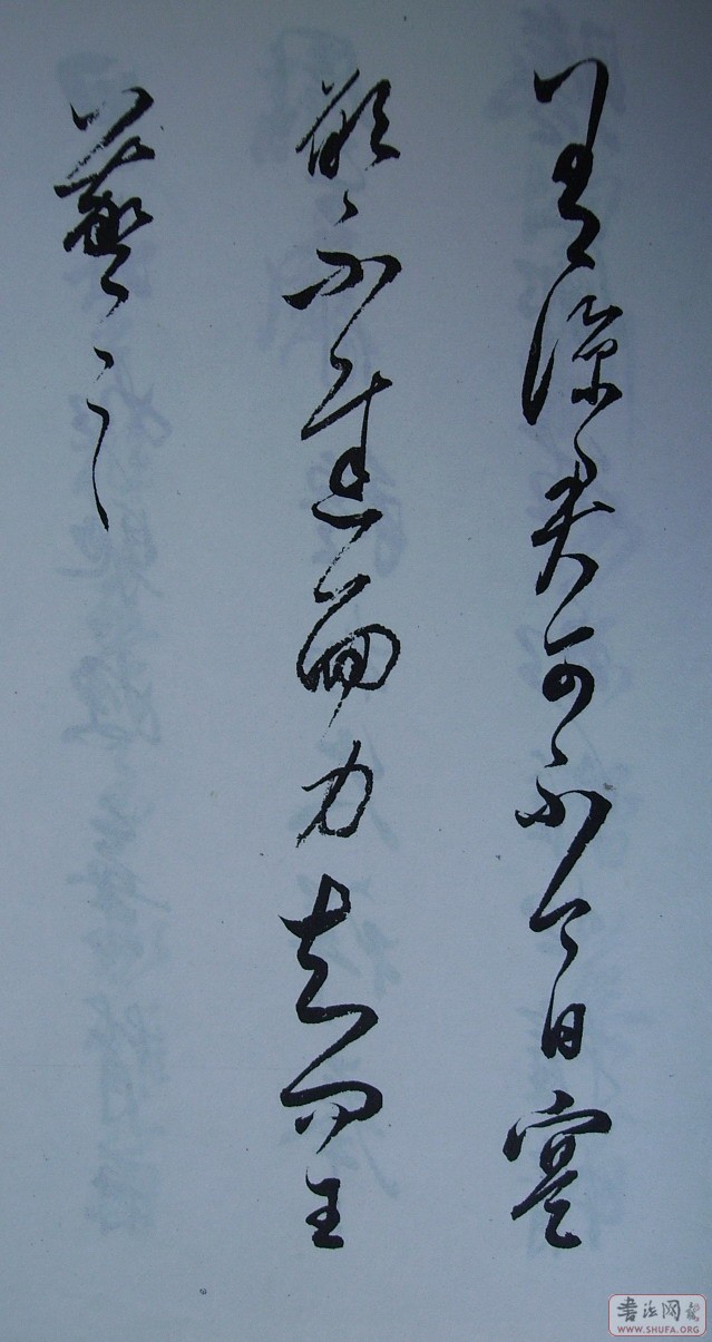 Ƭ 10033.JPG