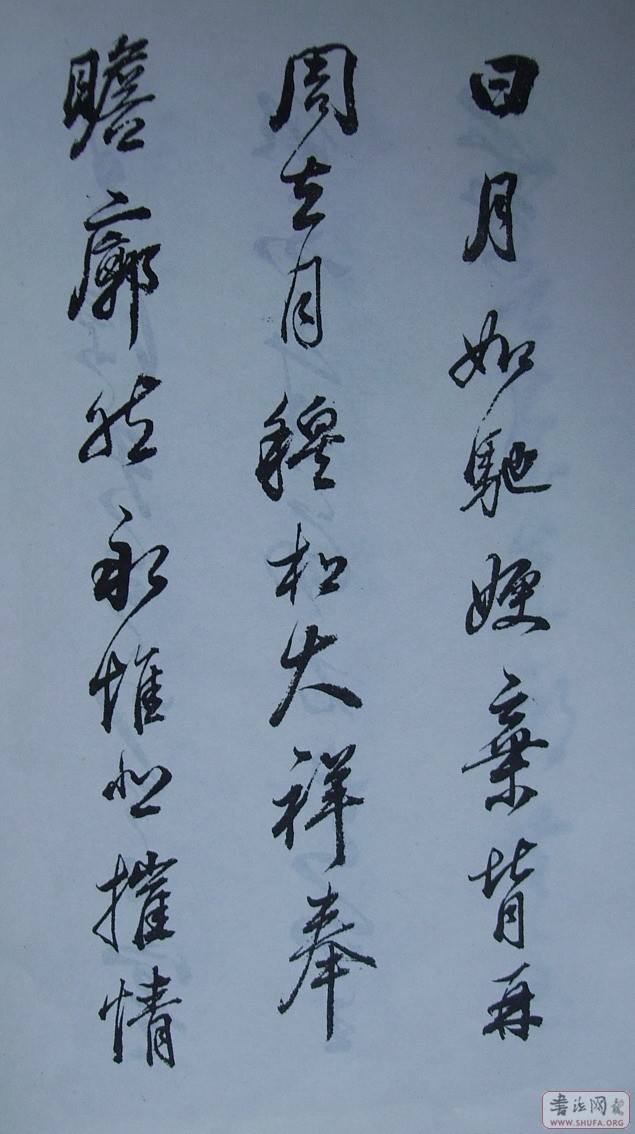 Ƭ 10034.JPG