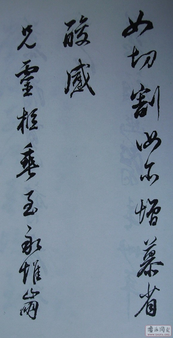 Ƭ 10035.JPG