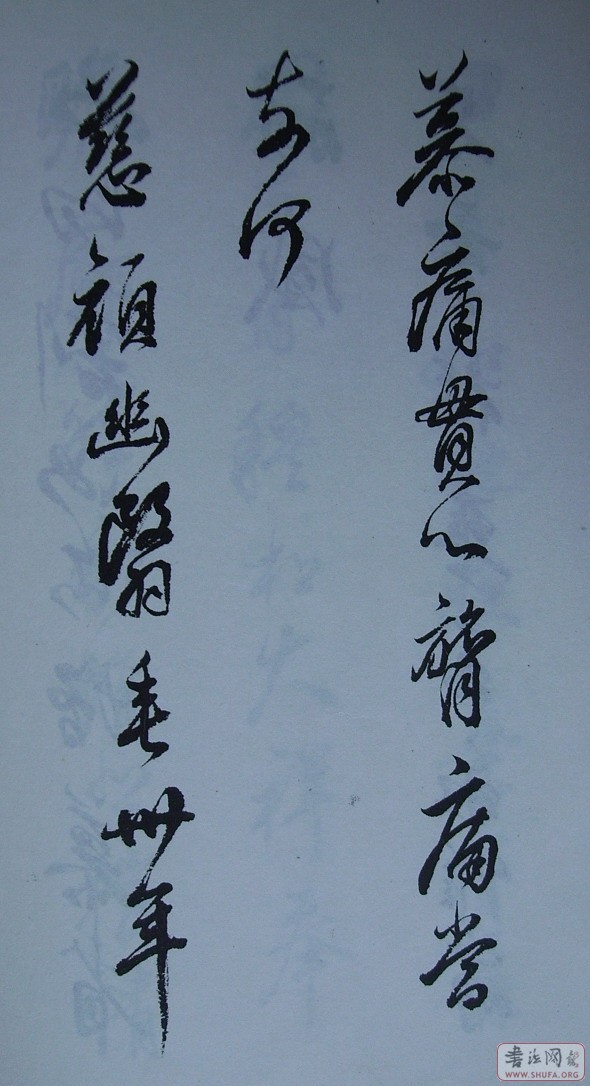 Ƭ 10036.JPG