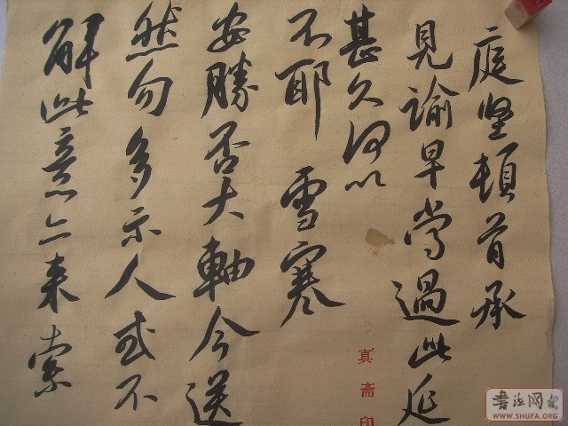 Ƭ 224.jpg