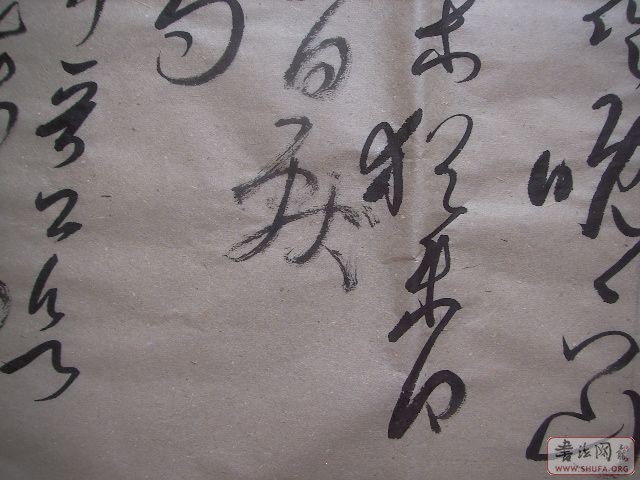 Ƭ 316.jpg