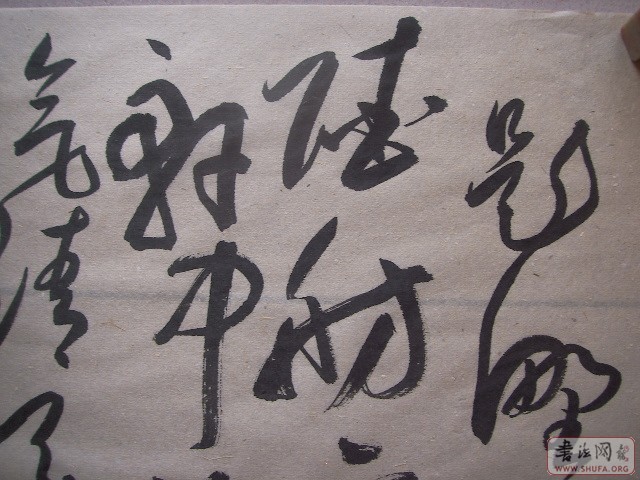 Ƭ 331.jpg