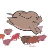 .gif