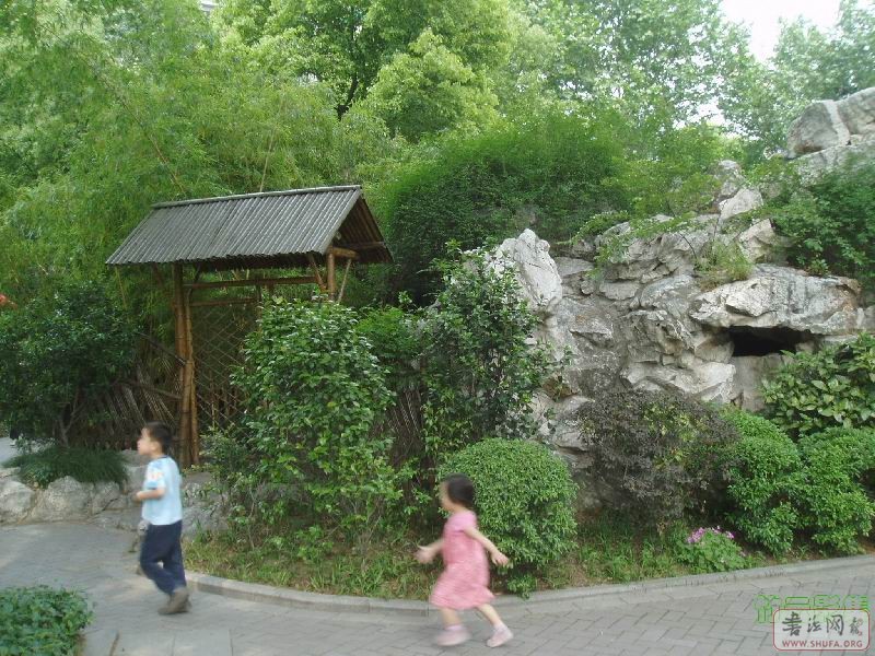 ӰP5140044.jpg