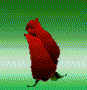 20061103231712159.gif