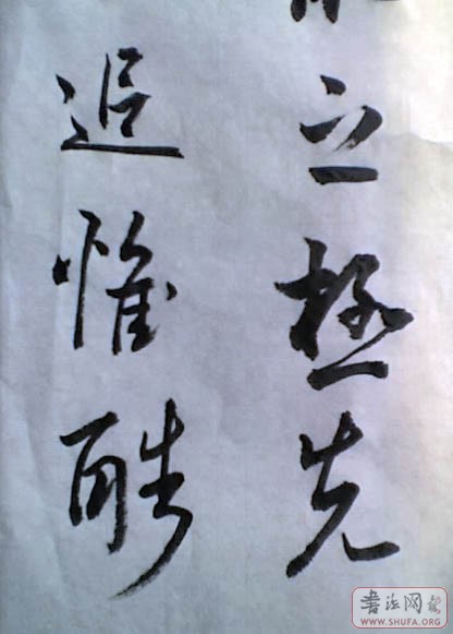 26-02-07_1026.jpg