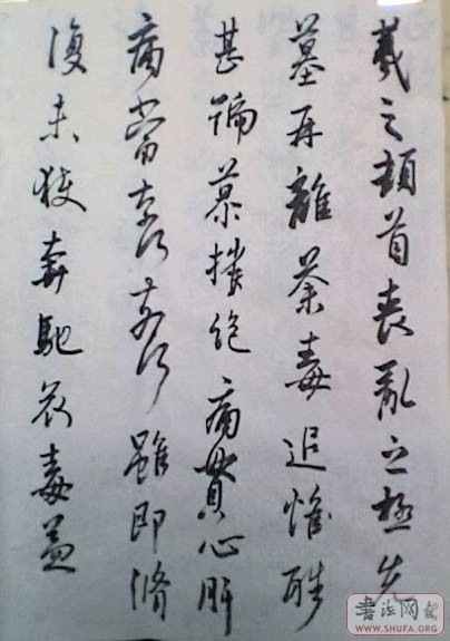26-02-07_1122.jpg