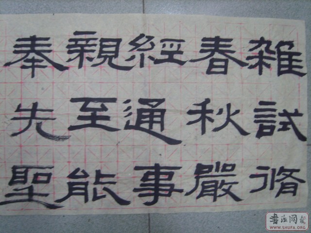 S8000569.JPG