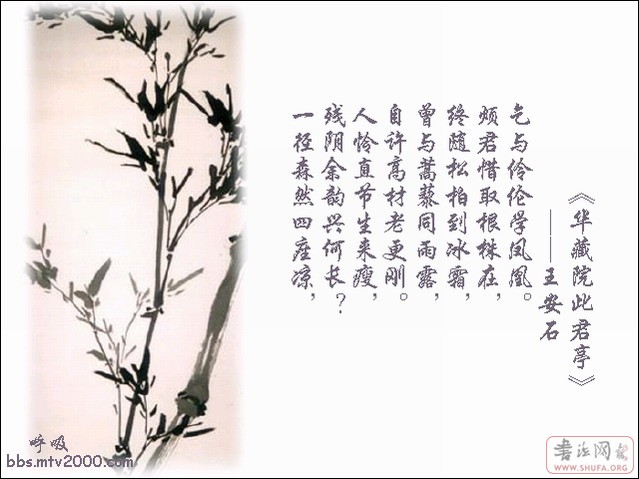 200511821215959.jpg