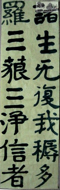 IMG_7395.jpg